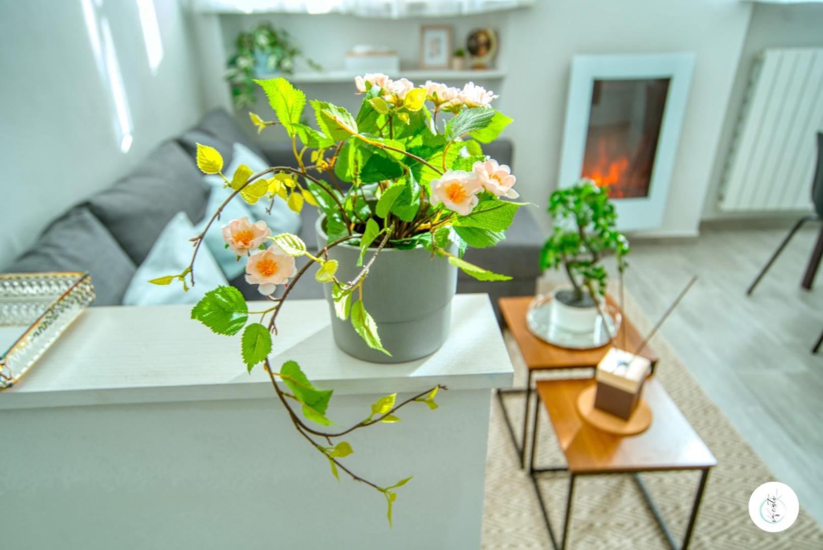 In Curti 1913 Apartment Parabiago Ngoại thất bức ảnh