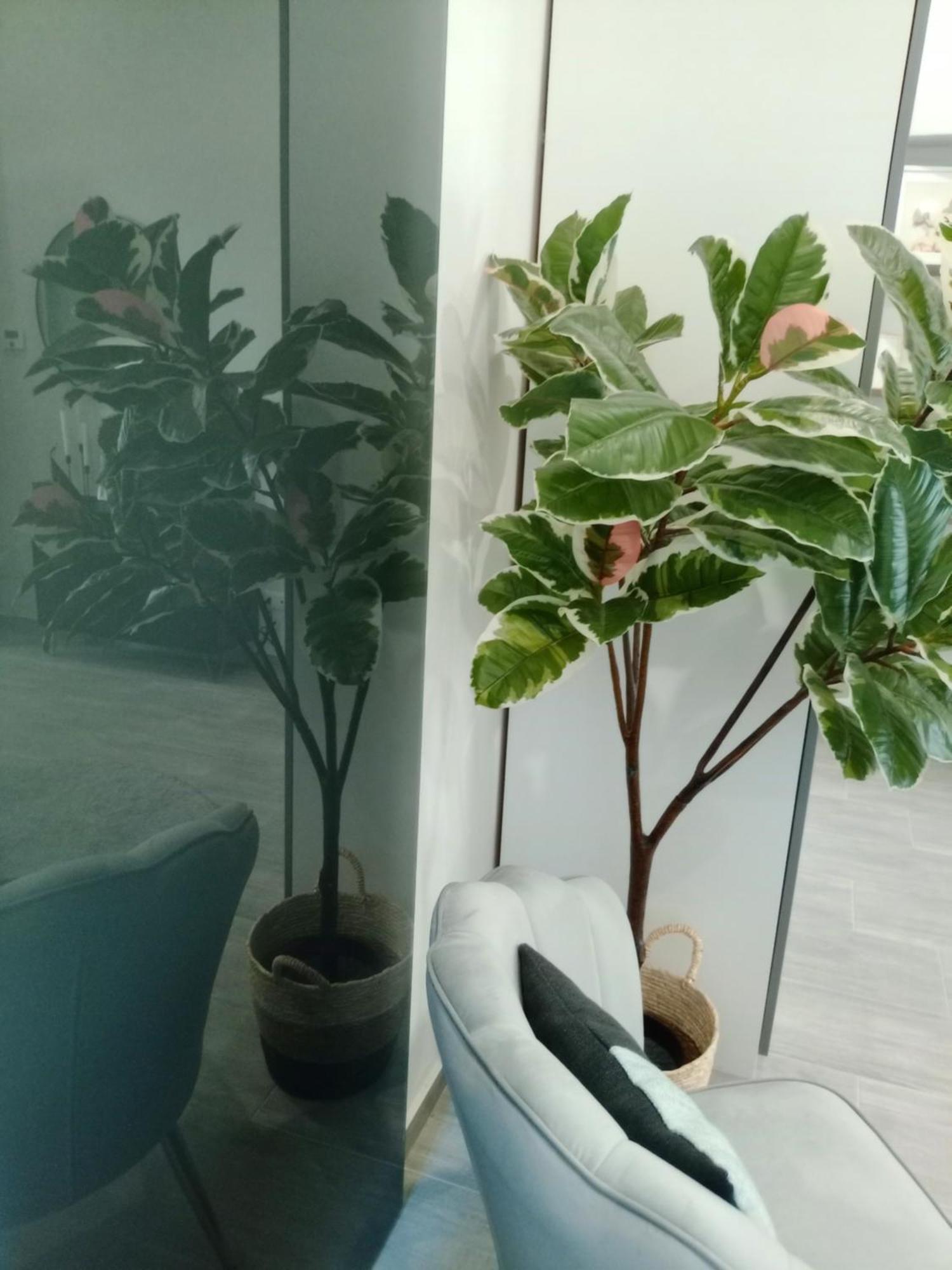 In Curti 1913 Apartment Parabiago Ngoại thất bức ảnh